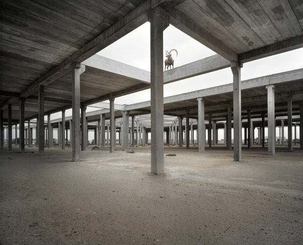 Faith is Torment | Art and Design Blog #abandonment #photography #conceptual #ram