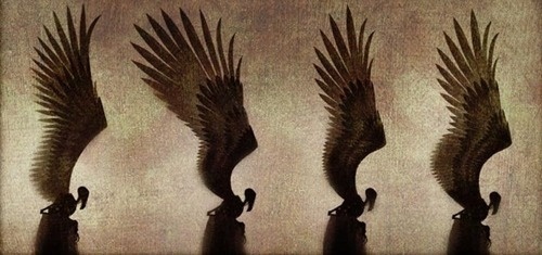 listras #7 #liddel #harry #alexis #potter #concept #art