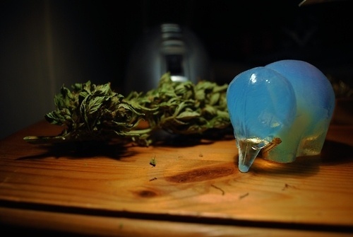 http://www.flickr.com/photos/wallb/ #marijuana #weed #elephant