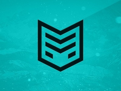 Could be input for bear logo