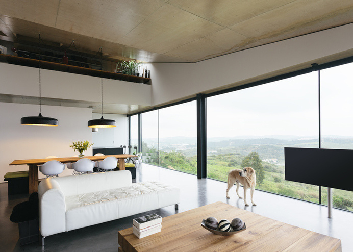 Varatojo House in Portugal by Atelier Data appears windowless #interior #eames #dog
