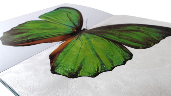 Fedrigoni Metallic Papers | Thomas Manss & Company #design #graphic #book #butterfly #samples #illustration #layout #paper #metallic #foil #typography