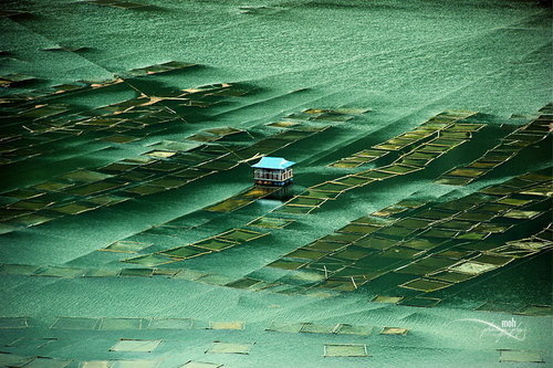 CJWHO ™ (A Lonely Station by Mohan Duwal Indrasarobar...) #nepal #design #landscape #nature #photography #art #fishing