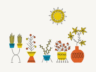 More Plants