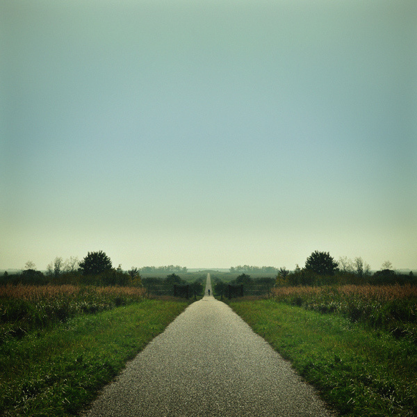 the biking road #tree #sky #road #landscape #photography #bike #mirrored