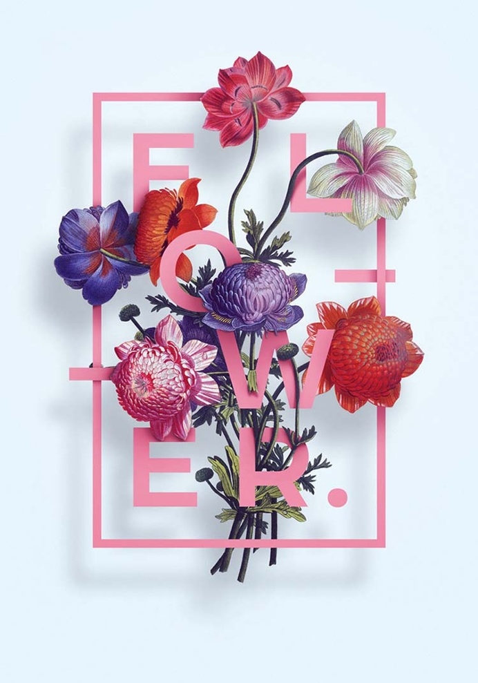 Illustration Flower Typography