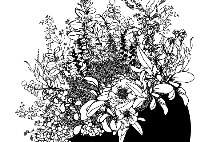#Illustration #drawing #plants