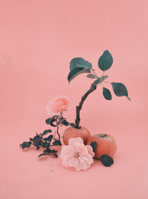 Dom Sebastian | PICDIT #photo
