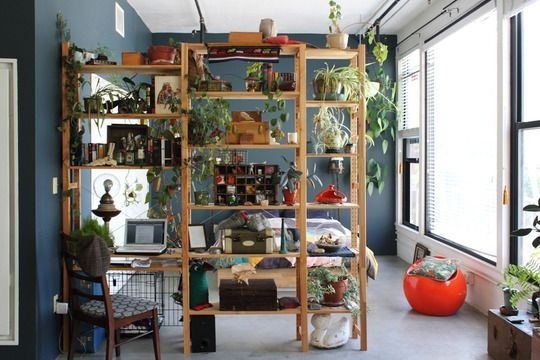 diy shelf with plants to separate bed. RDNY.com No Fee Rental Apartments in NYC. #plants