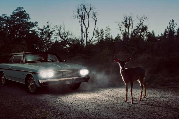 The Fallen Town by Holly Andres