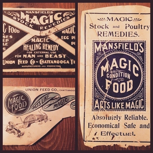 The Type Hunter #victorian #vintage #preindustrial #antique #typography