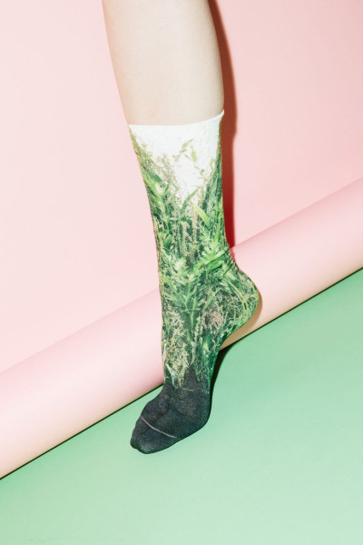 sock #sock