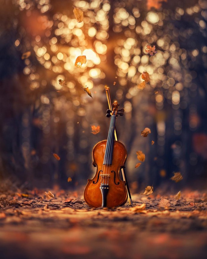 Whimsical and Dreamlike Still Life Photography by Ashraful Arefin