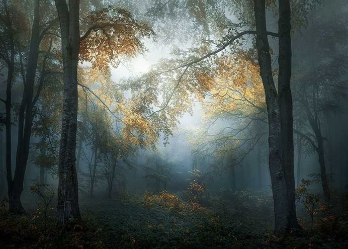Veselin Atanasov, Bulgaria National Award