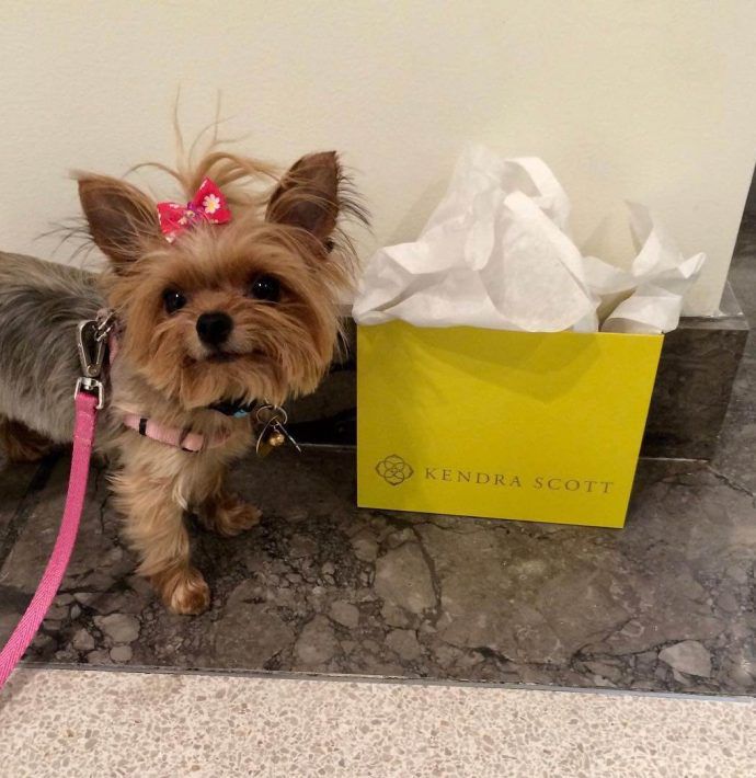 Most Dog Friendly Stores in America - Kendra Scott