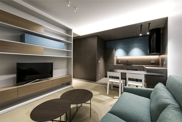 Modern One Bedroom Apartment in Vilnius - InteriorZine