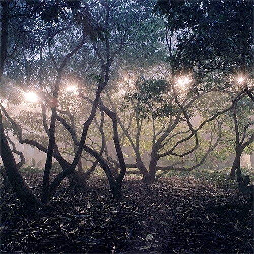 Andrew Tomchyshyn - BOOOOOOOM! - CREATE * INSPIRE * COMMUNITY * ART * DESIGN * MUSIC * FILM * PHOTO * PROJECTS #photography
