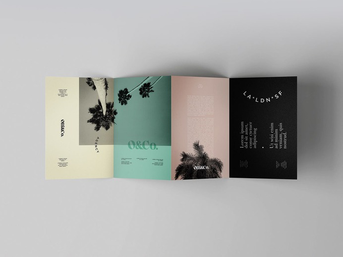 Olli.co Agency Identity - Mindsparkle Mag Nostalgic branding for a contemporary, Los Angeles based agency designed by graphic designer Lyndi Priest from San Francisco, California. #packaging #logo #identity #branding #design #color #photography #graphic #design #gallery #blog #project #mindsparkle #mag #beautiful #portfolio #designer