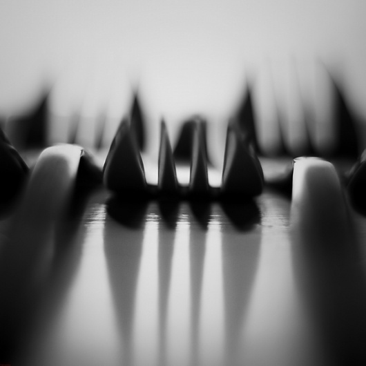 Fork on Photography Served #photography #fork