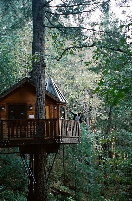 Awesome treehouse #exterior #adventure #treehouse
