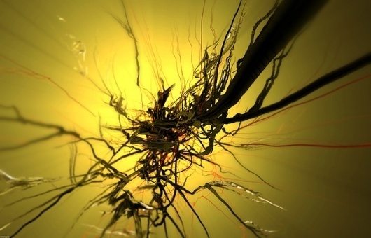1063098c7f355fa53f2496a62b6b5221.jpg (600×386) #nick #particle #flow #rhizome #nenov #vvvv