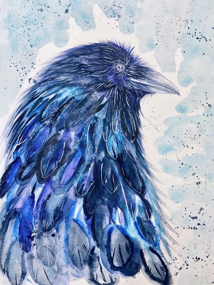The Common American Raven by Velvet-in-August