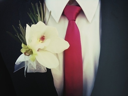 ...and these are the days #flower #photography