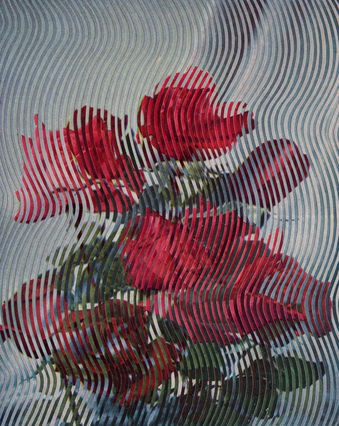 Alexis Anne | PICDIT #flower #collage #paper #art