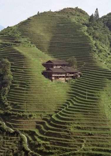 rummaging-foranswers: (via If only… / mountains... - & Gatherer #field #house #farming #architecture #hillside #agriculture #paddy