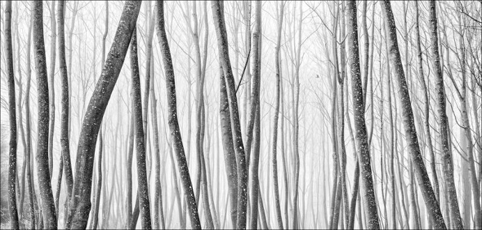 Winners of The 2016 EPSON International Panorama Photography Competition