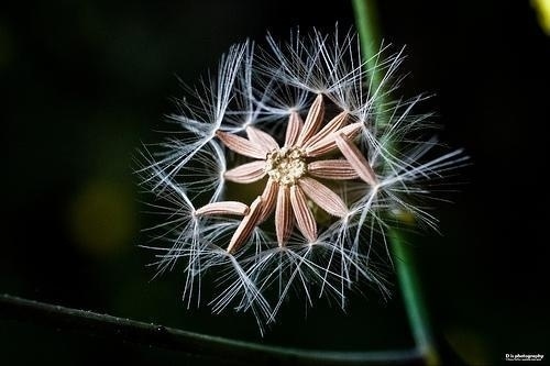 Photography by Chang Tao-Tzu | Professional Photography Blog #inspiration #photography