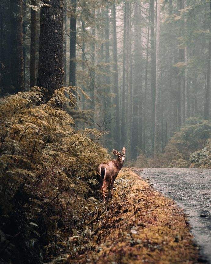 Spectacular Photos of British Columbia Landscapes by Ian Harland