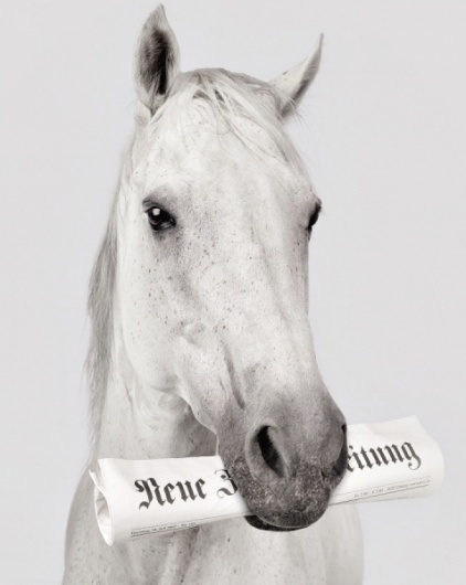 Sara Lindholm - mini-mal-me: Educated Horse by Winkler Noah #winkler #horse #noah #educated