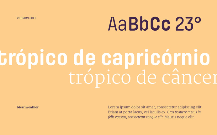 Carlos Bauer and Nicholas Pierre tropico branding blue logotype business card modern simple mindsparkle mag purple stationery minimal