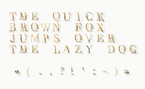 CJWHO ™ (TYPICK Font by Jerome Haldemann "I was given the...) #creative #font #design #toothpicks #art #clever #typography