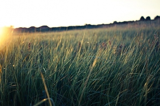 Just a moment away on the Behance Network #serene #sun #field #tranquil #light #mountains #green