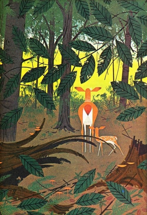 forest, deer, illustration