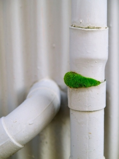 Pure. - Russian Carpet: Daily inspiration, trends, mood board. Architecture, art, design, fashion, photography. #inspiration #white #design #russian #photography #carpet #pure #green