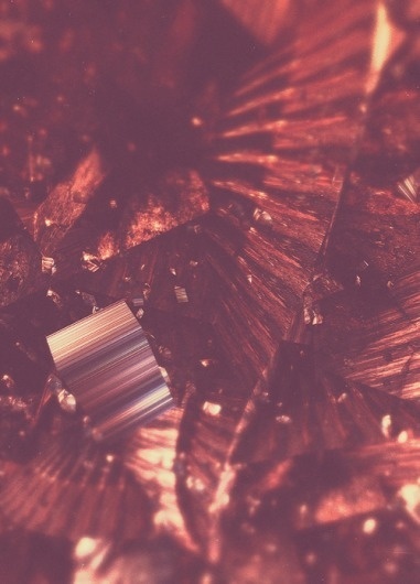 Atelier Olschinsky « PICDIT #design #graphic #art #colour