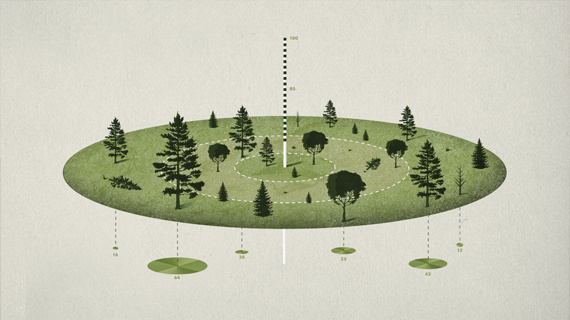 Isometric #isometric #infographic #design #texture #natural #trees