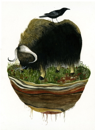 Island Biogeography (musk ox) print by Diana Sudyka #illustration #poster #mammut