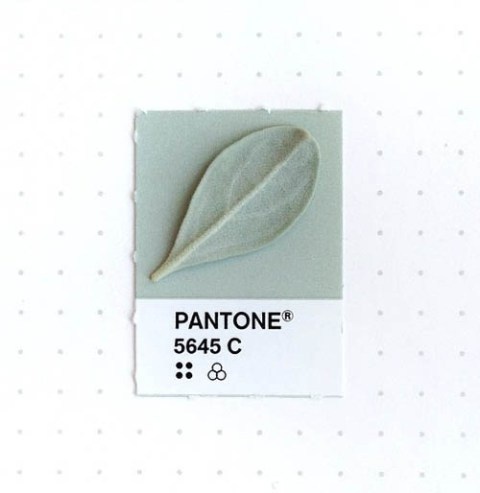 Tiny PMS Match | PICDIT #design #color #pantone #art #colour