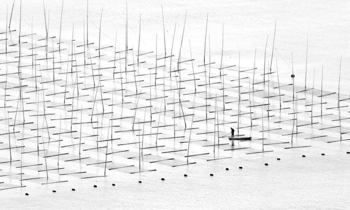 Unknown China: Coastal Geometries of Bamboo Worlds by Tugo Cheng