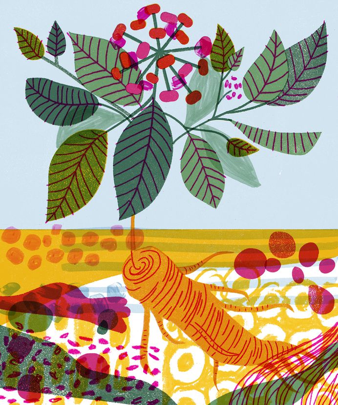refinery29 on Behance