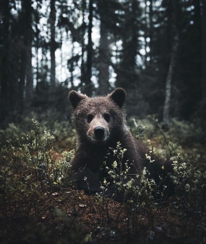 #wildernessculture: Nature and Outdoor Photography by Stian Norum Herlofsen