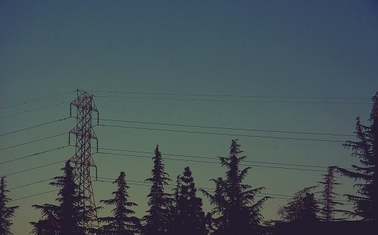 All sizes | Apricot City | Flickr - Photo Sharing! #sky #camera #retro #vintage #film #sunset #trees