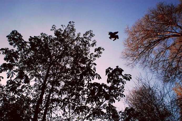 Stunning Street Photography by Marja Skotheim Folde