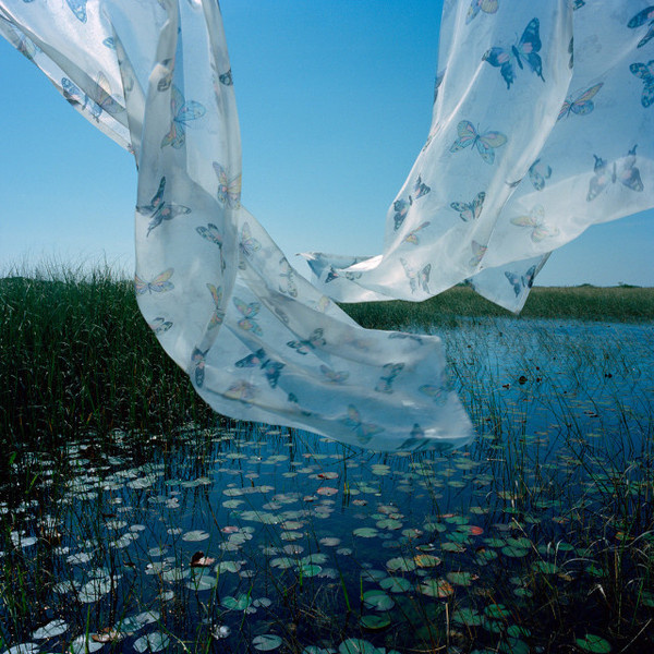 Marjory's World by Rebecca Reeve #inspration #photography #art