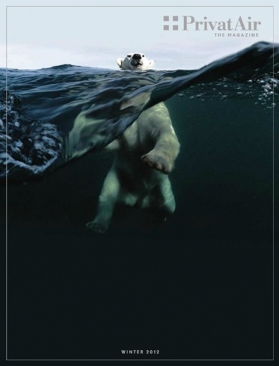 this isn't happiness™ (Winter 2012)  #bear #polar #underwater