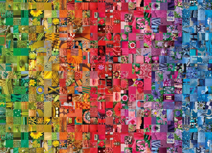 collage-i103885.jpg (750×543)
